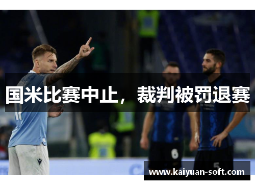 国米比赛中止，裁判被罚退赛